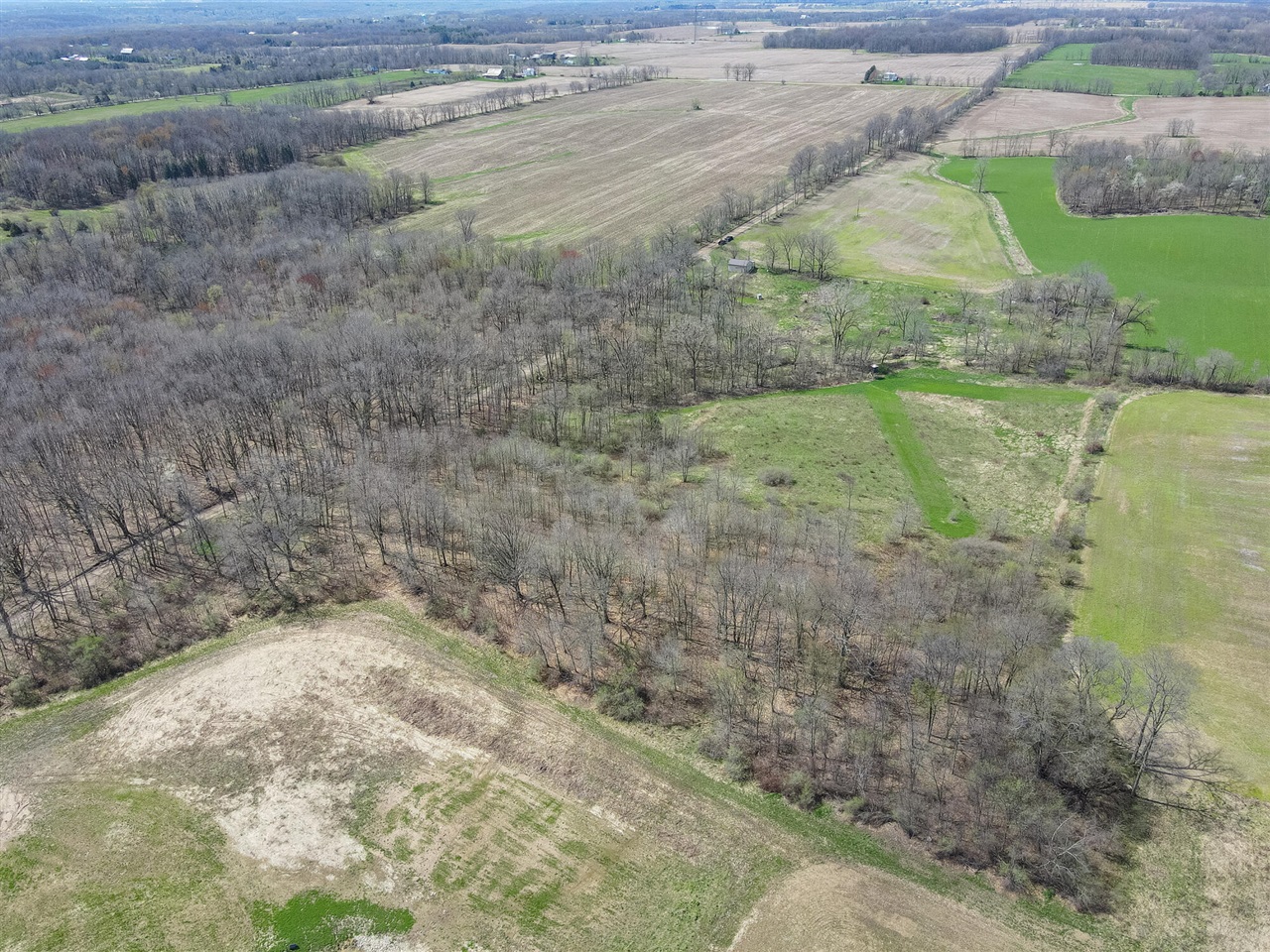8475 Ross Road Property Photo 25