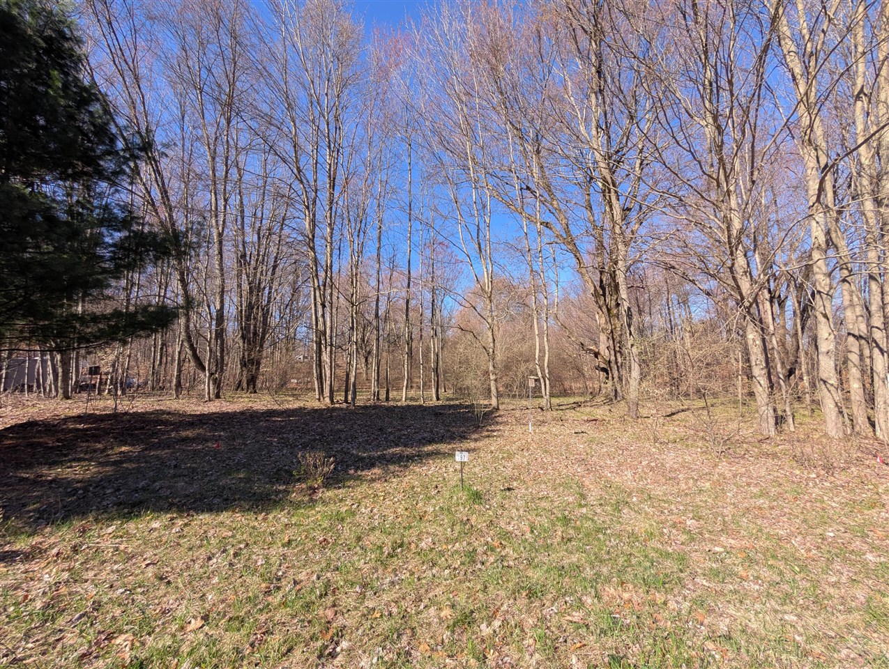 6465 Fox Den Property Photo 1