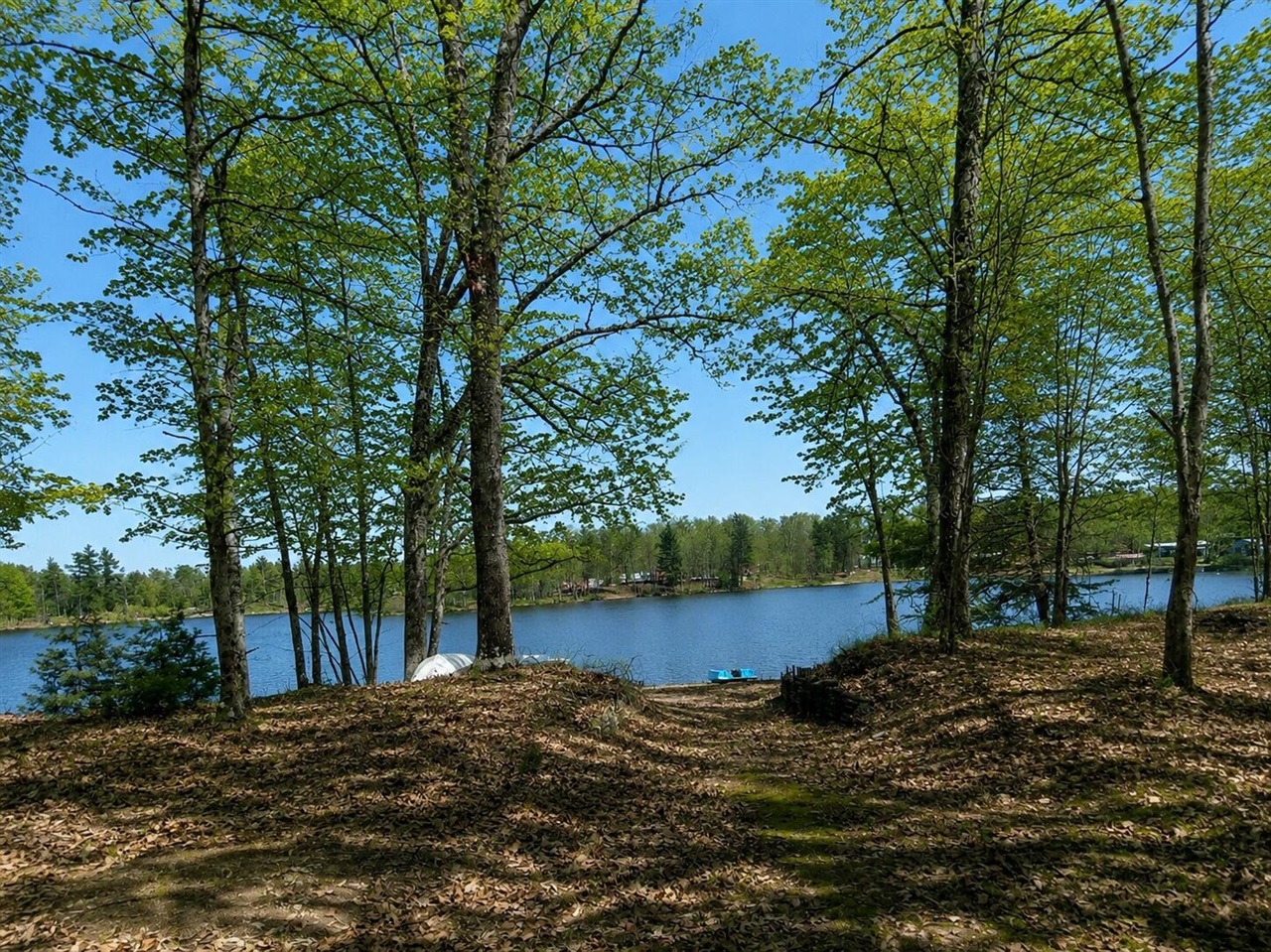 10746 N Beaver Trail