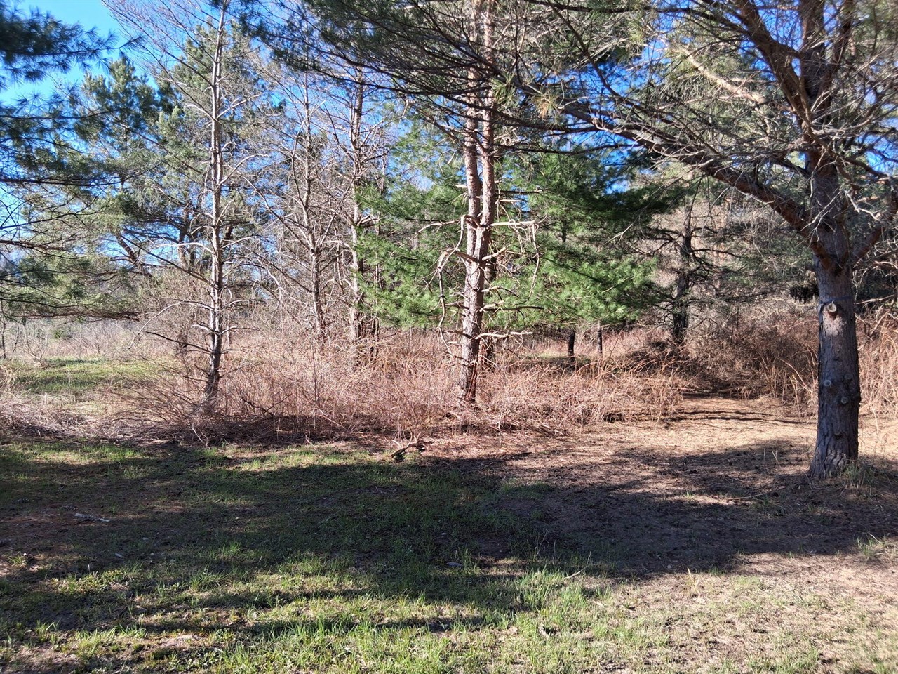4326 Heath Road Property Photo 12