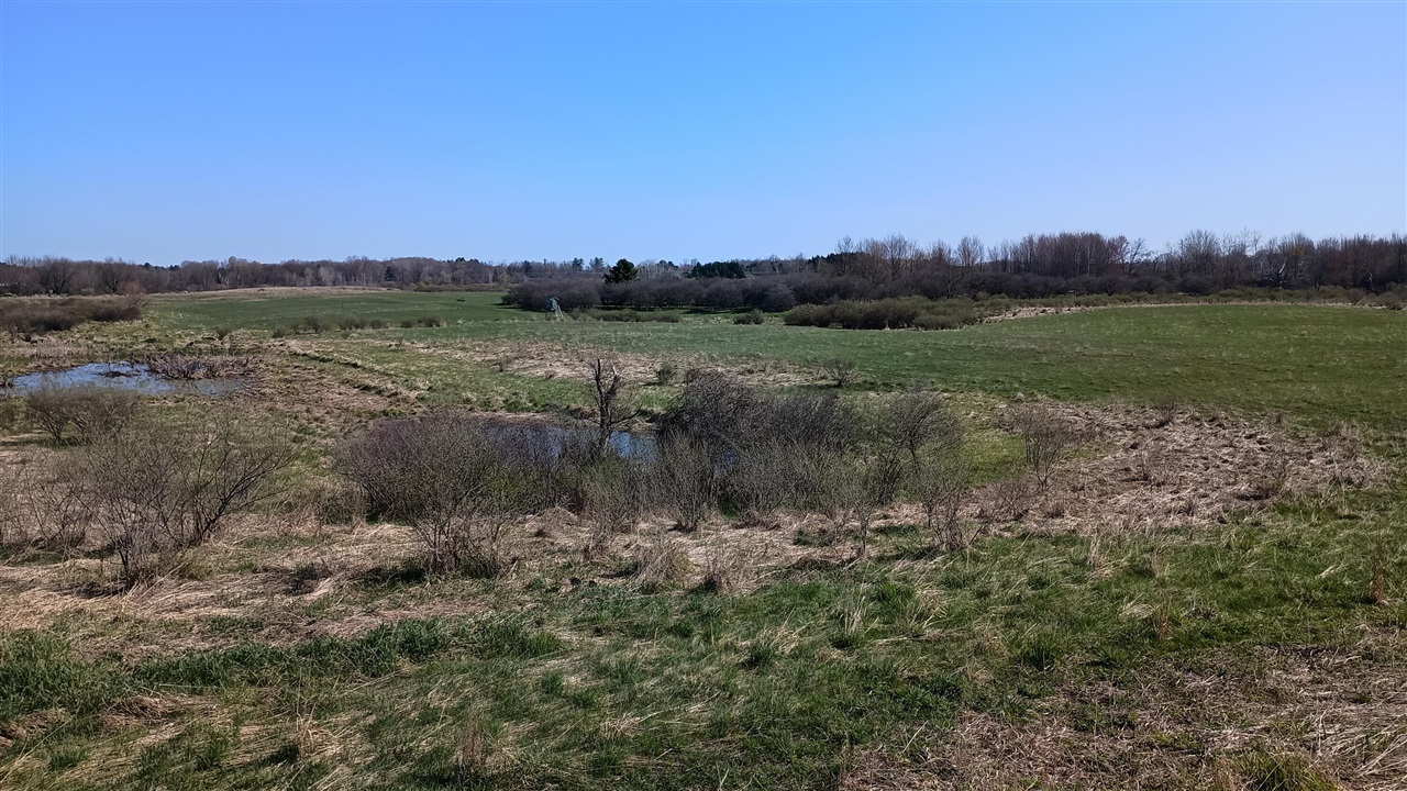 3607 E Hansen Road Property Photo 32