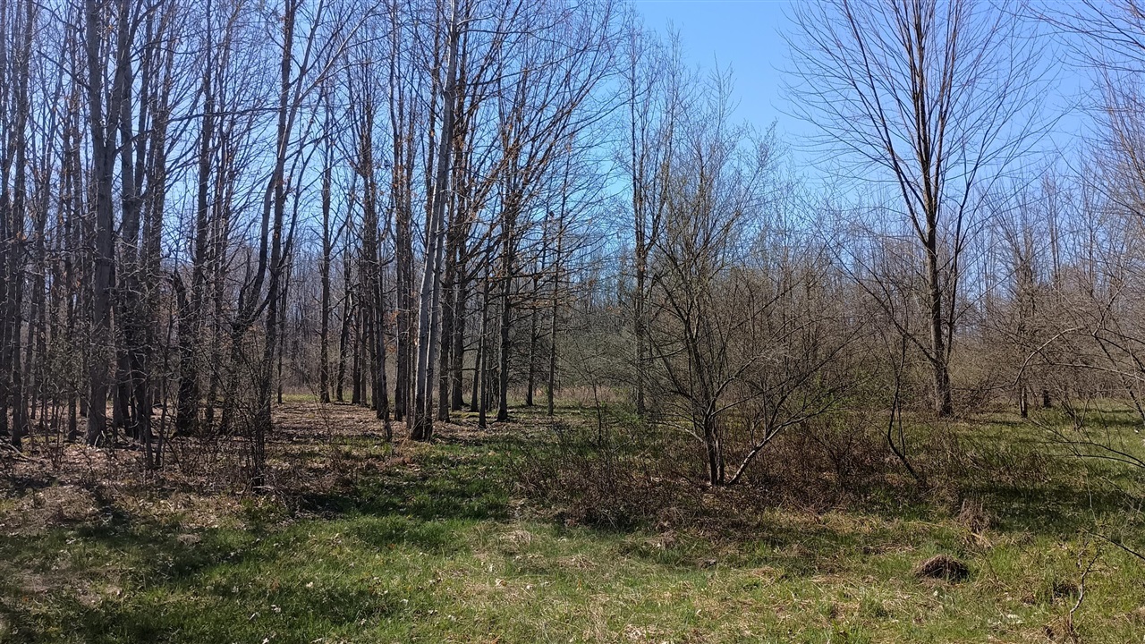 3607 E Hansen Road Property Photo 43
