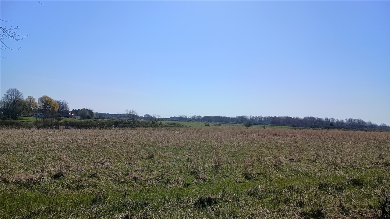 3607 E Hansen Road Property Photo 44