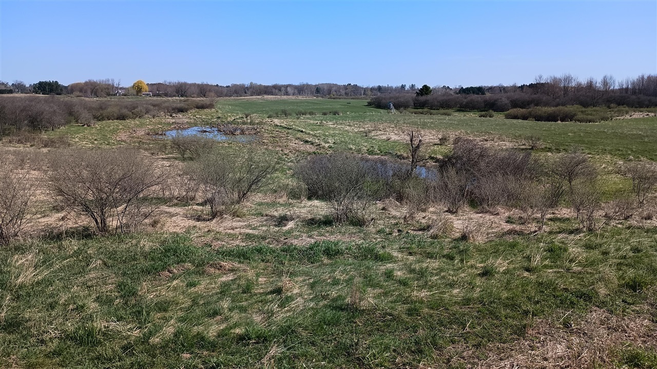 3607 E Hansen Road Property Photo 51