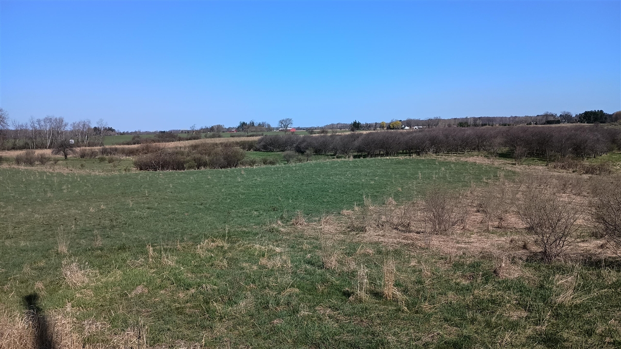 3607 E Hansen Road Property Photo 54