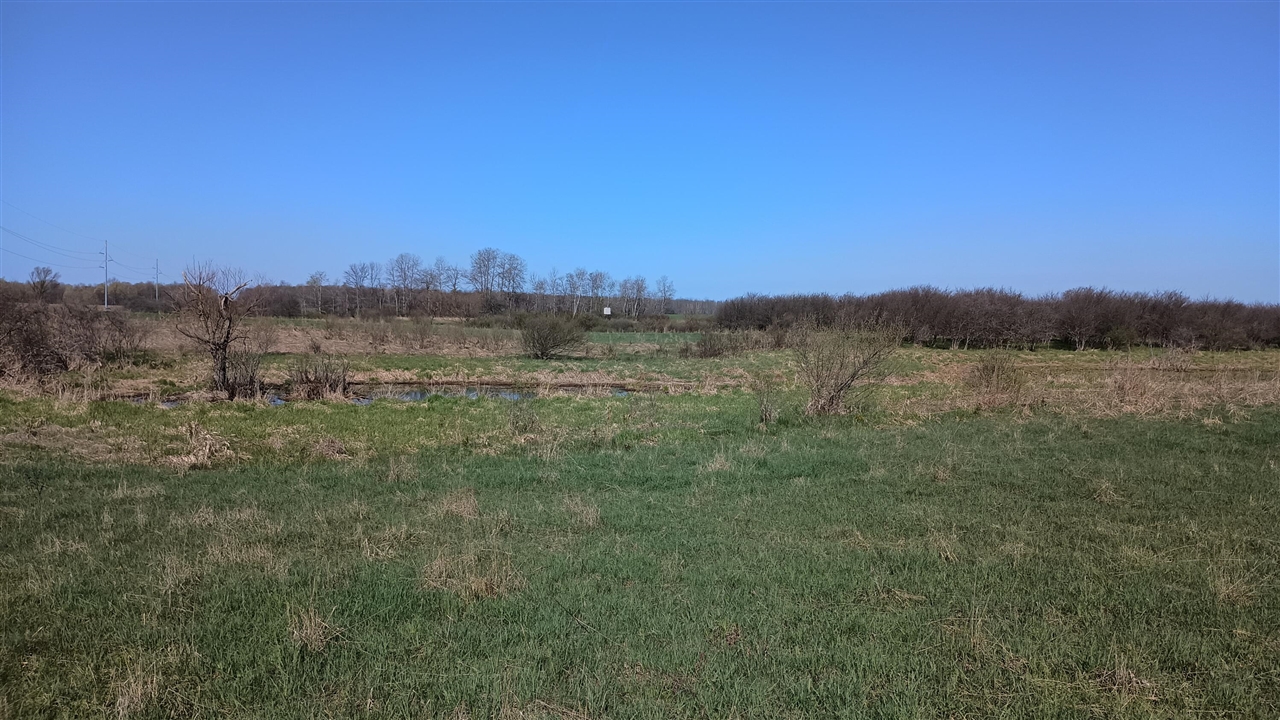 3607 E Hansen Road Property Photo 57