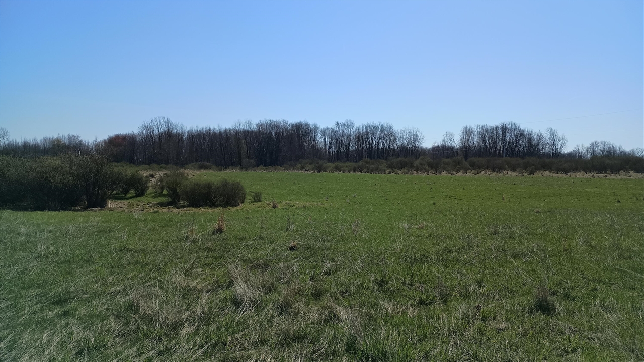 3607 E Hansen Road Property Photo 58