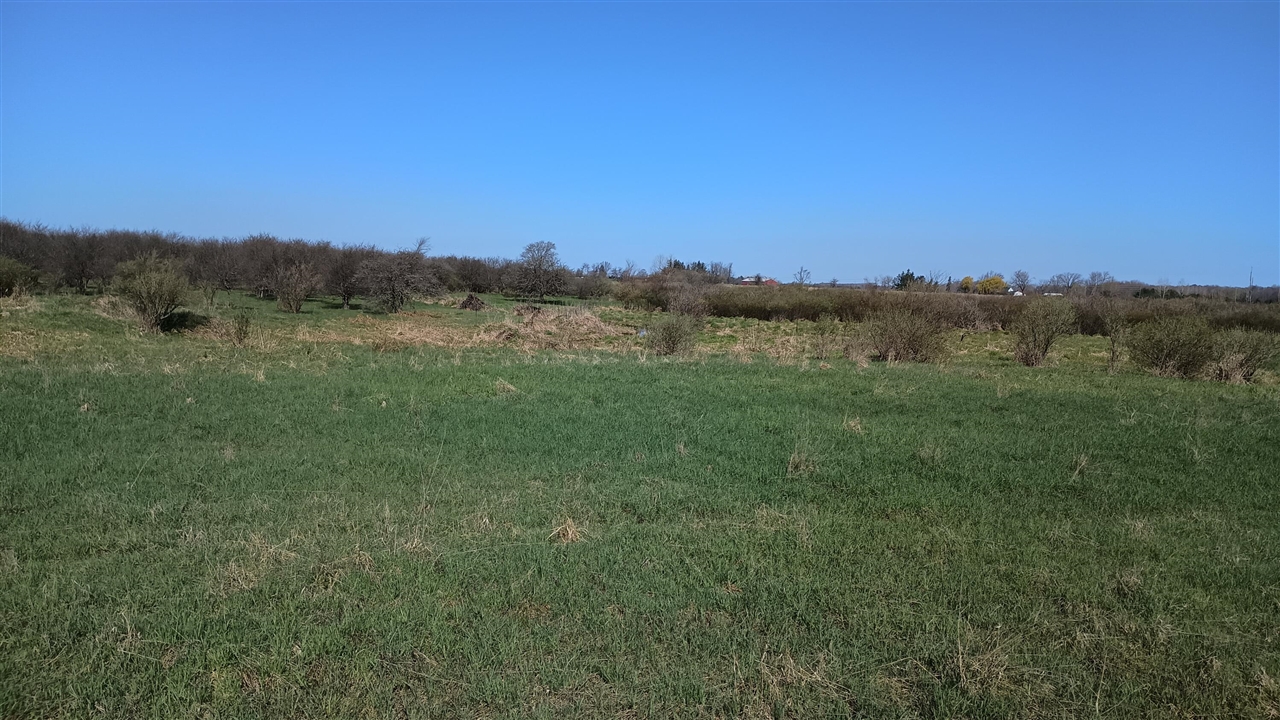 3607 E Hansen Road Property Photo 59