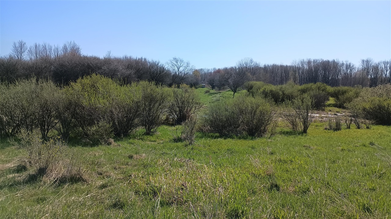 3607 E Hansen Road Property Photo 60