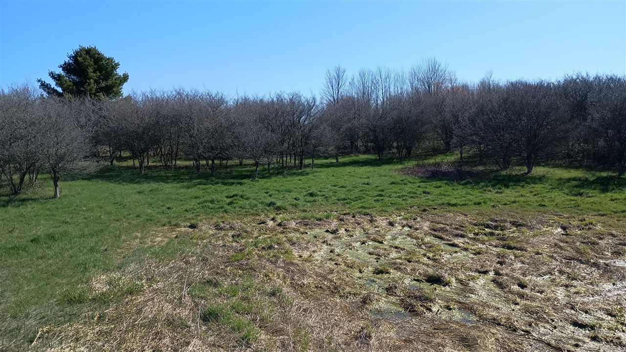 3607 E Hansen Road Property Photo 63