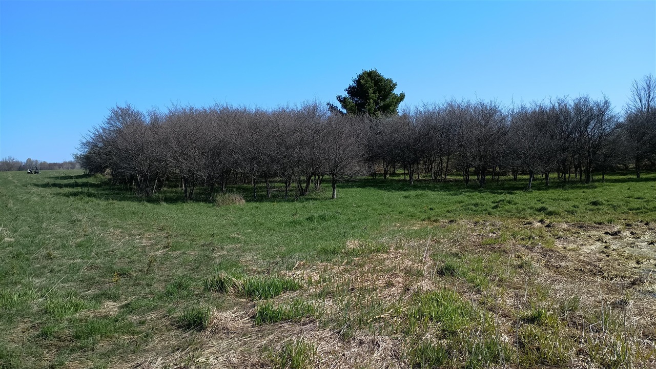 3607 E Hansen Road Property Photo 64