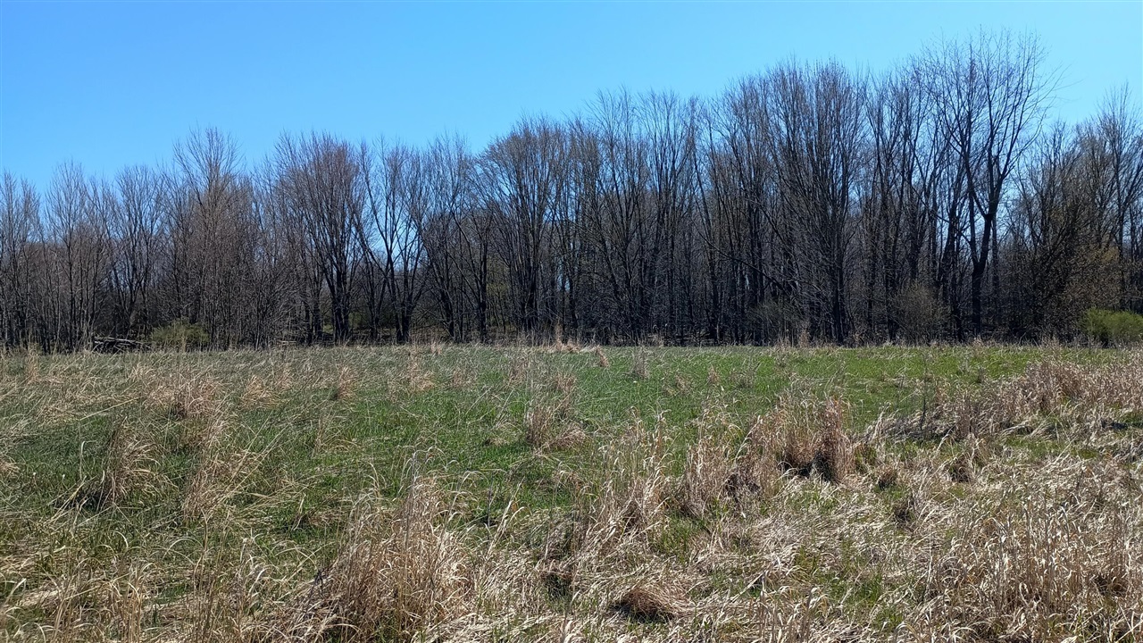 3607 E Hansen Road Property Photo 66