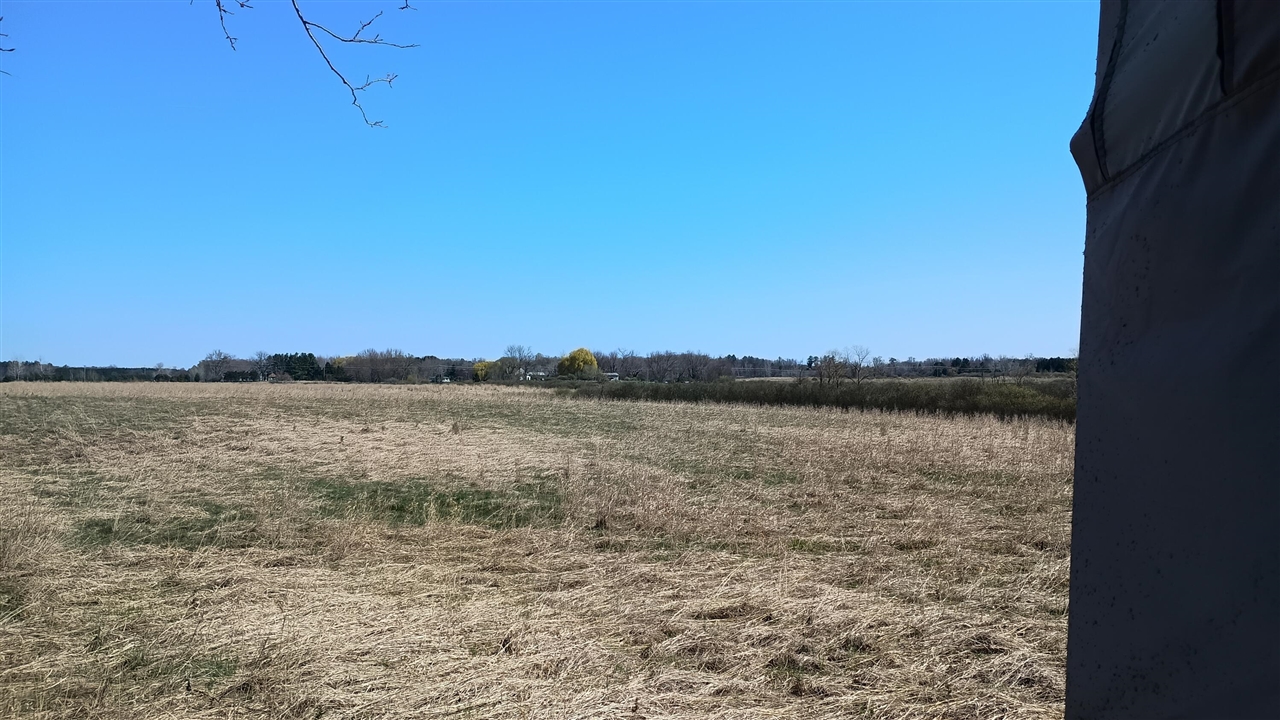 3607 E Hansen Road Property Photo 68