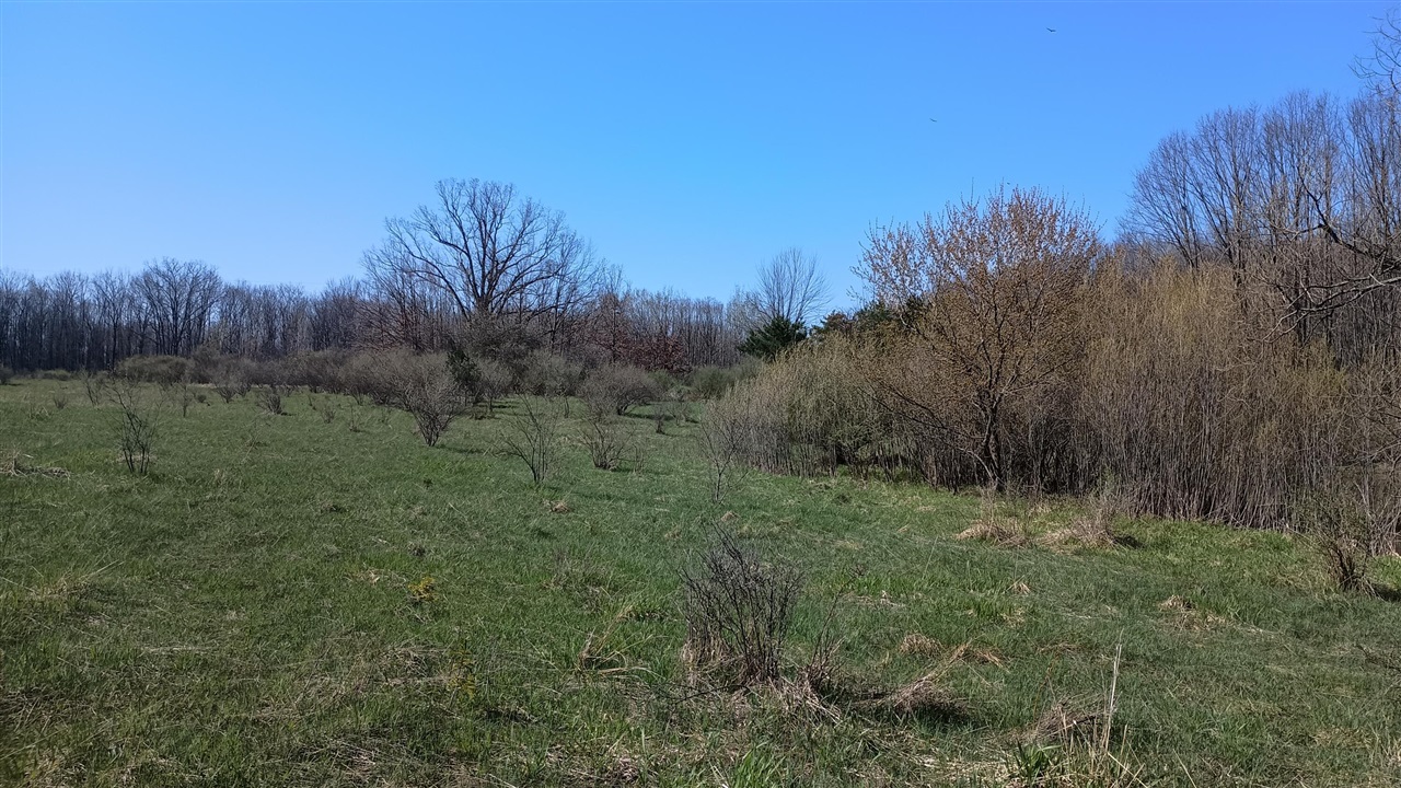3607 E Hansen Road Property Photo 71