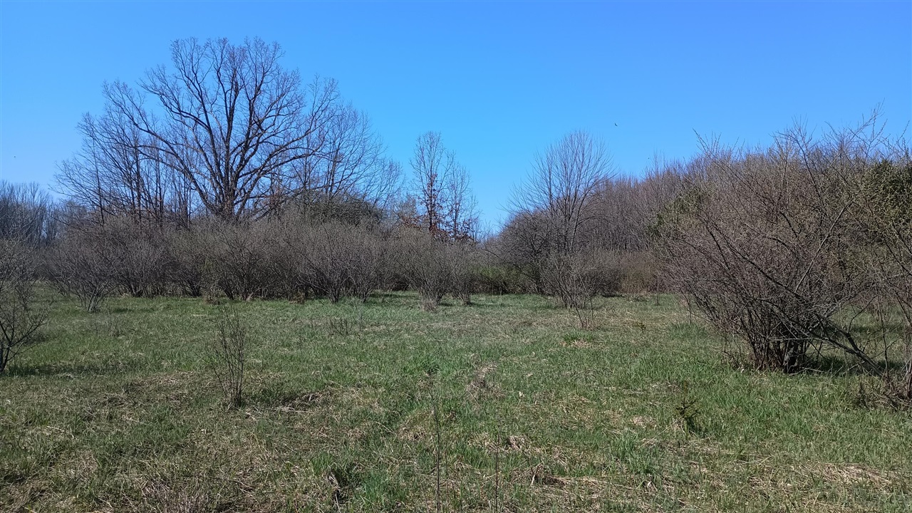 3607 E Hansen Road Property Photo 73