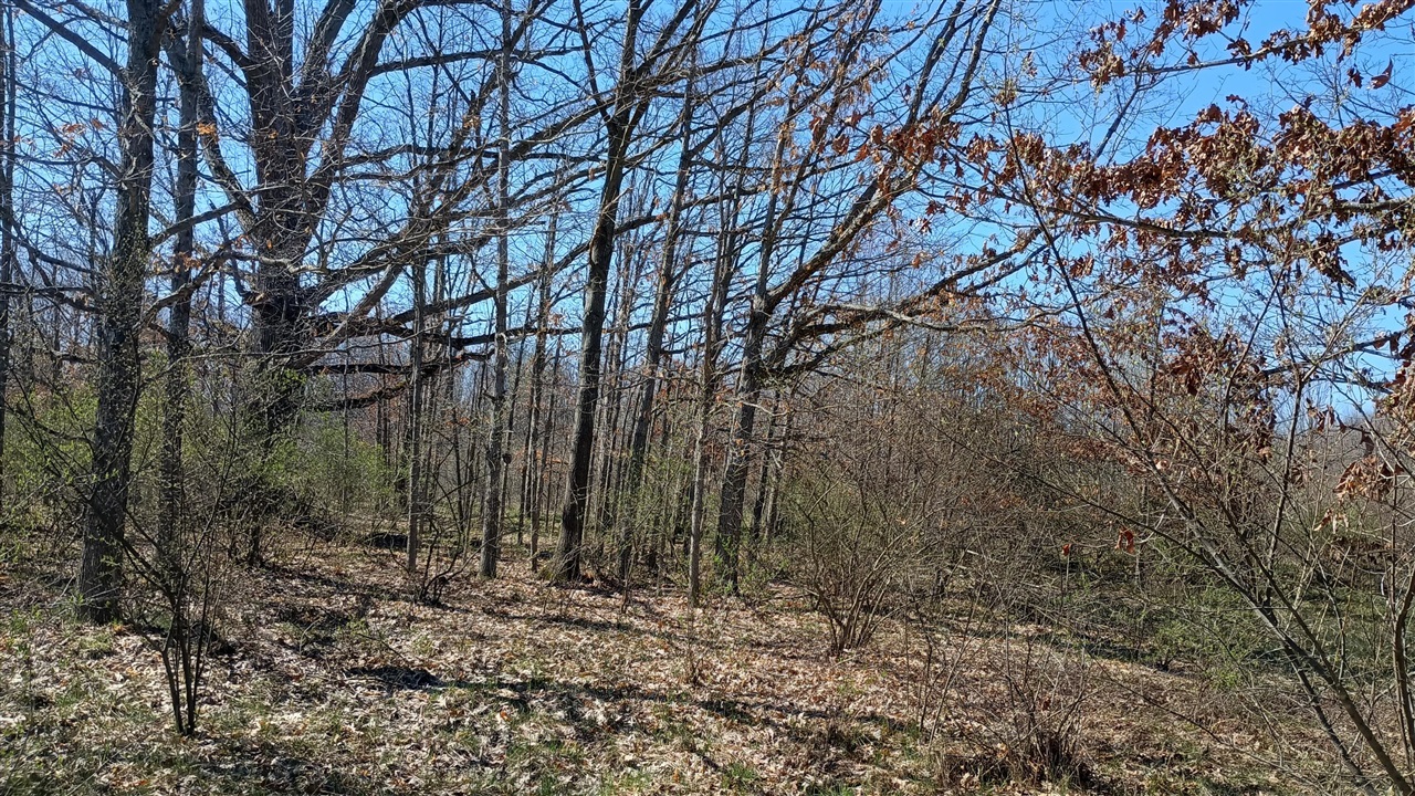 3607 E Hansen Road Property Photo 74