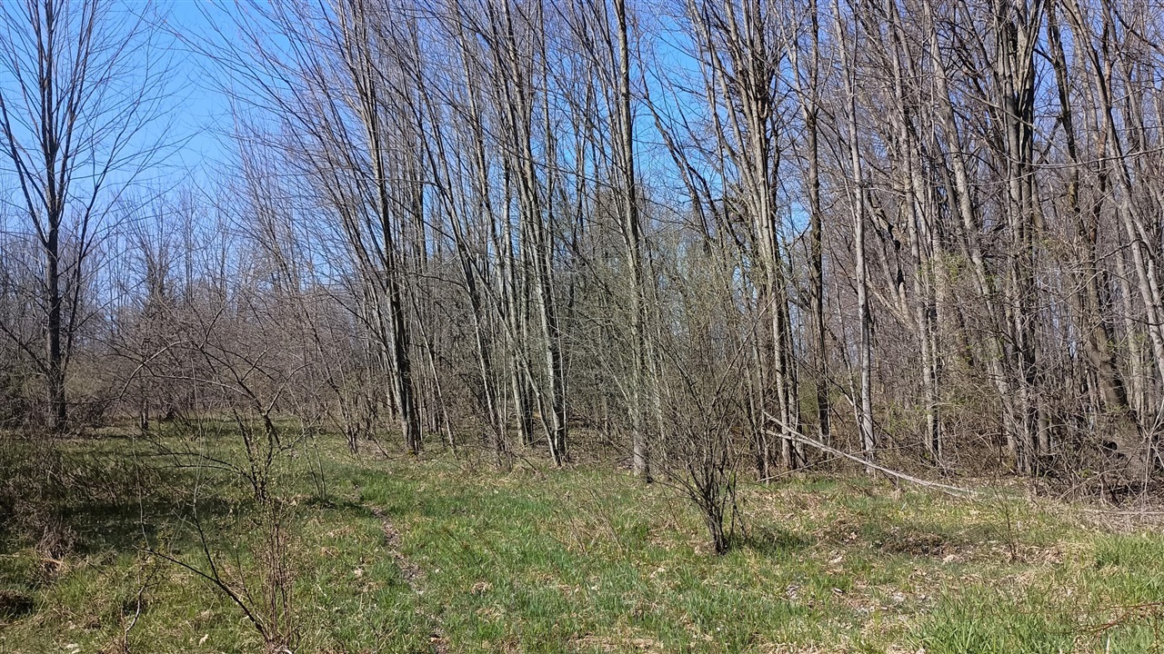 3607 E Hansen Road Property Photo 75
