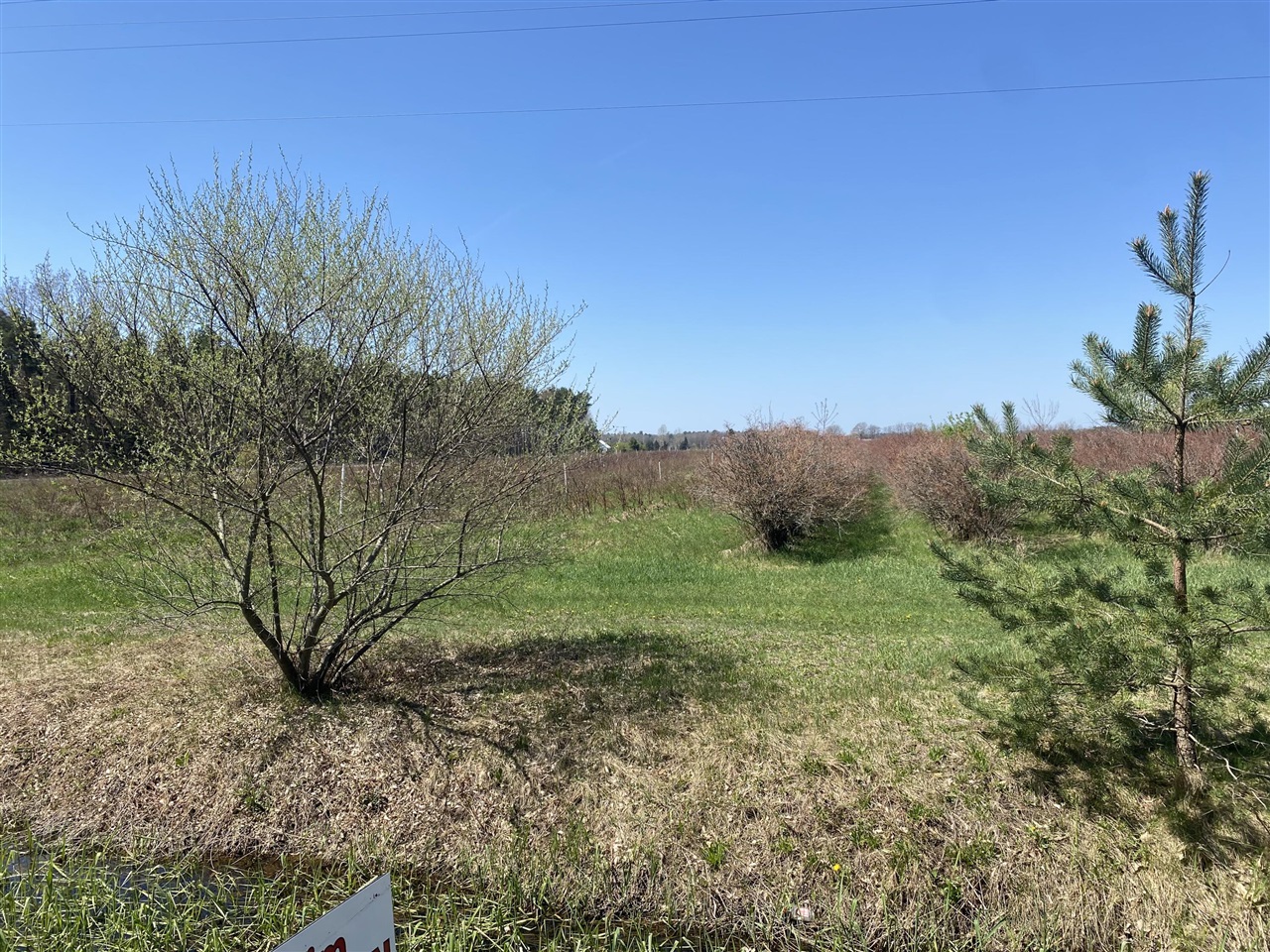 Vl S Wolf Lake Road Property Photo 1