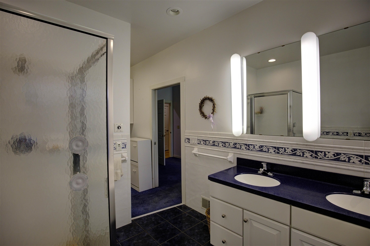 3678 W Primilia Lane Property Photo 41