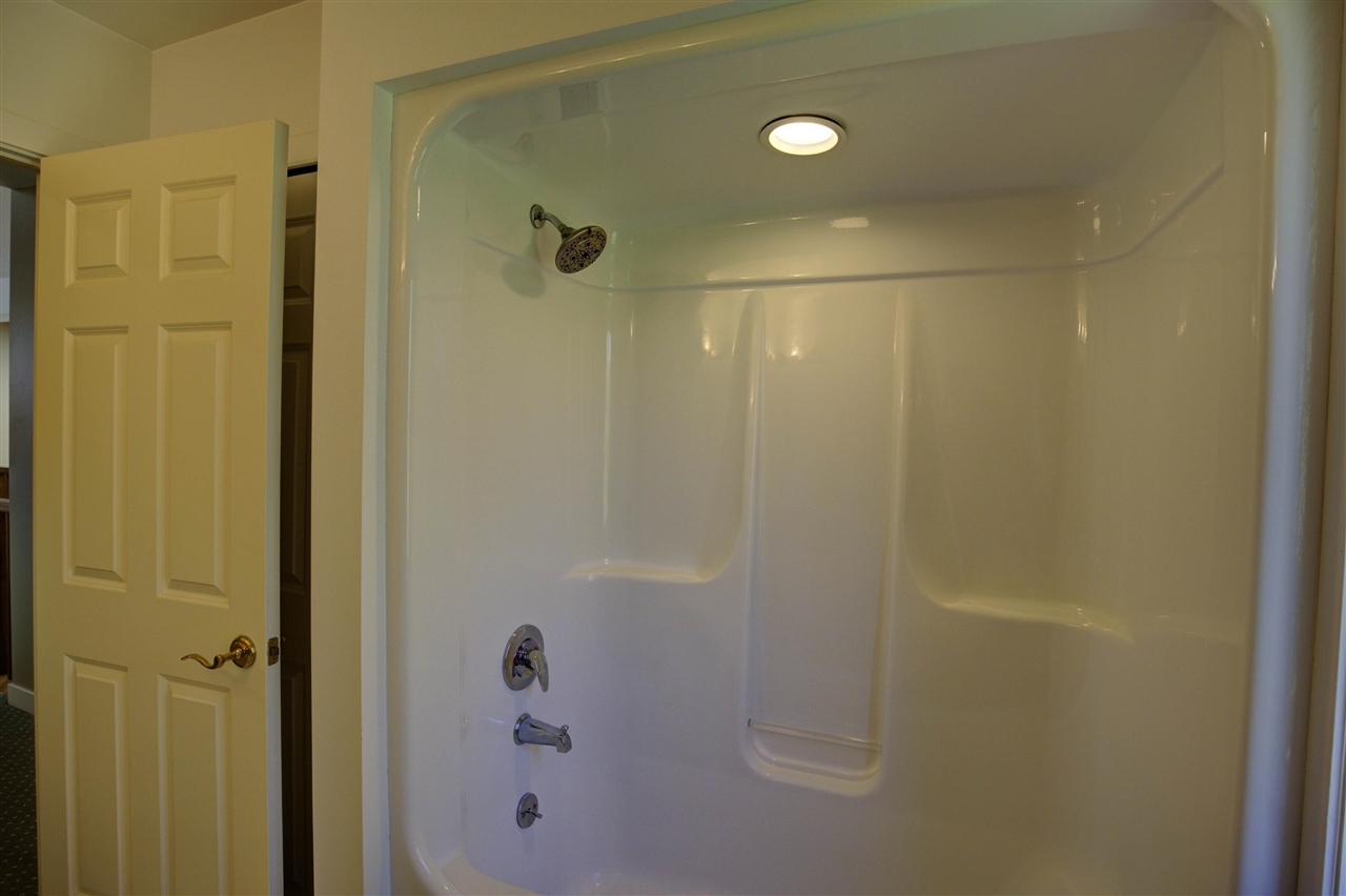 3678 W Primilia Lane Property Photo 59