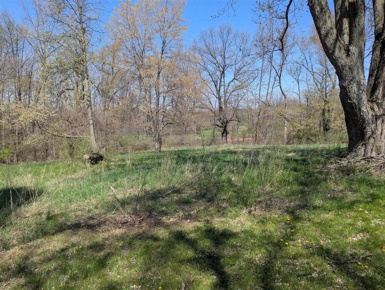 13421 Woerner Road Property Photo 22