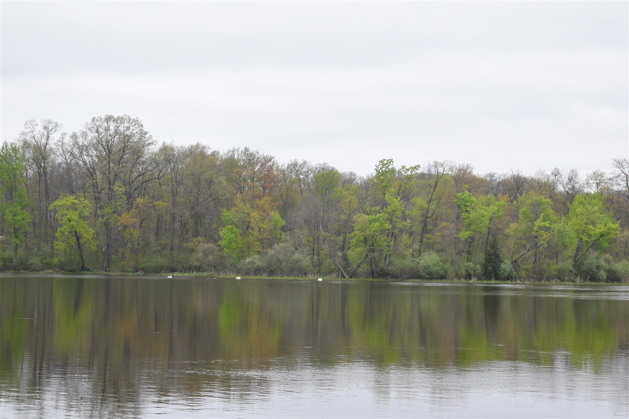 12230 Riverside Drive Property Photo 6