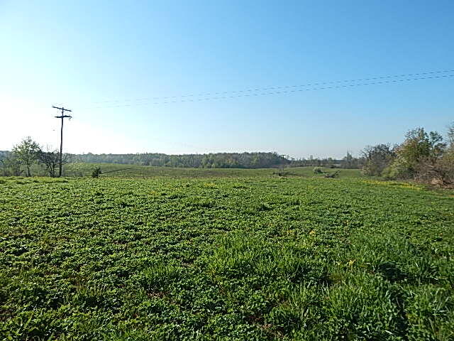 8833 W Territorial Road Property Photo 1