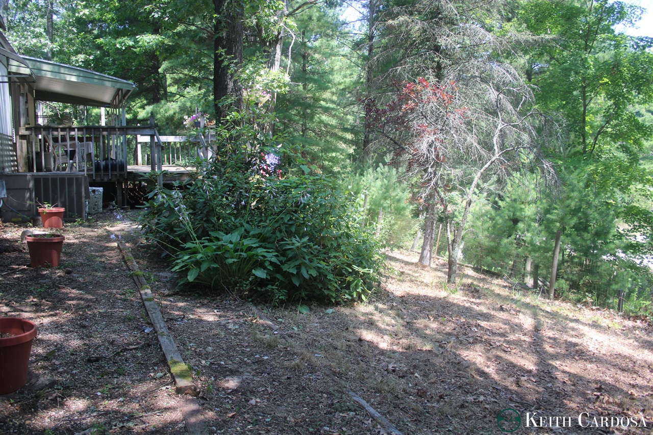4855 Juniper Avenue Property Photo 2