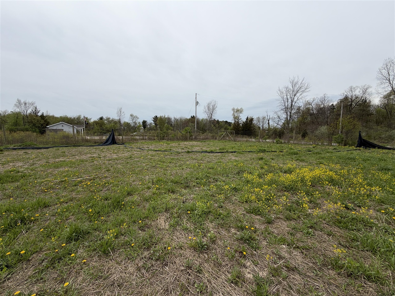 V/l S M-37 Property Photo 18