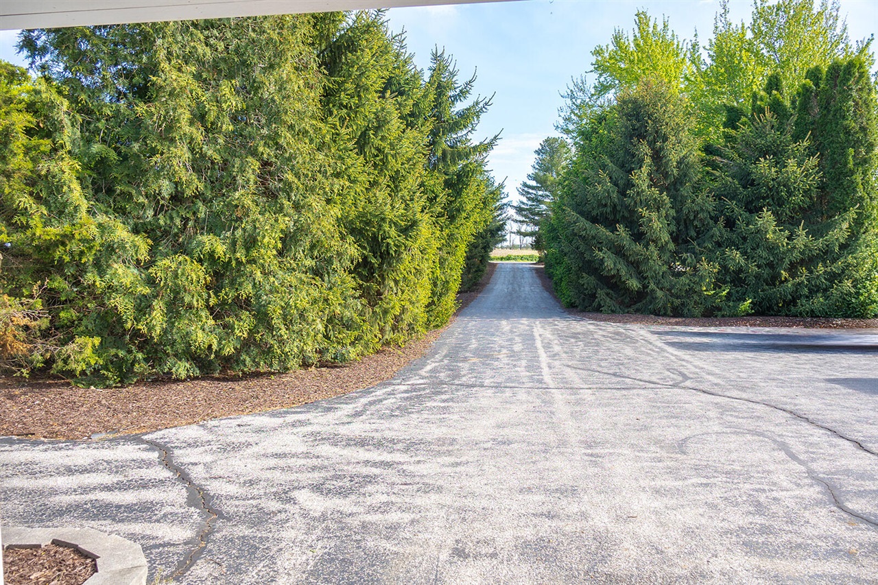 5251 Spring Creek Road Property Photo 18