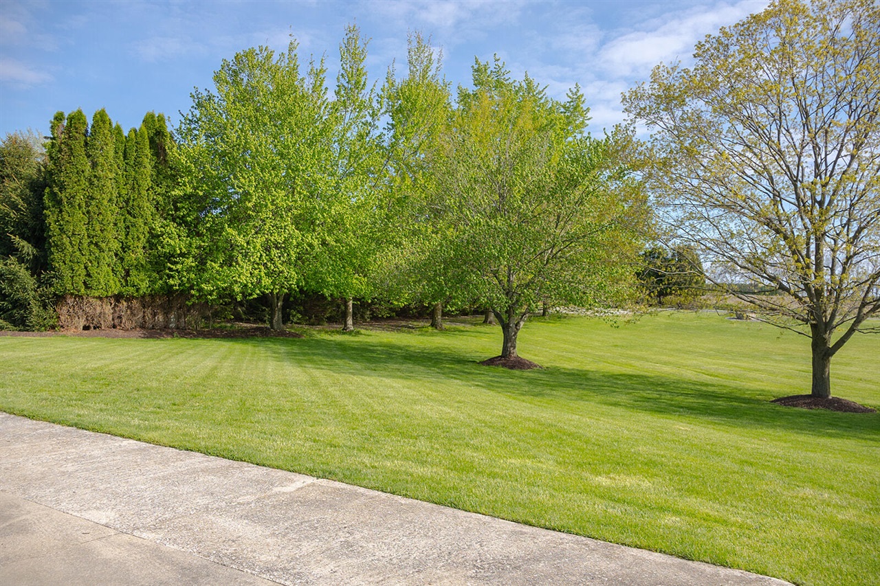 5251 Spring Creek Road Property Photo 34