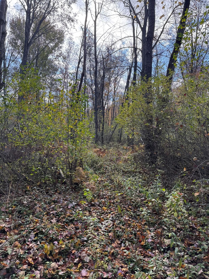 Holt Property Photo 1