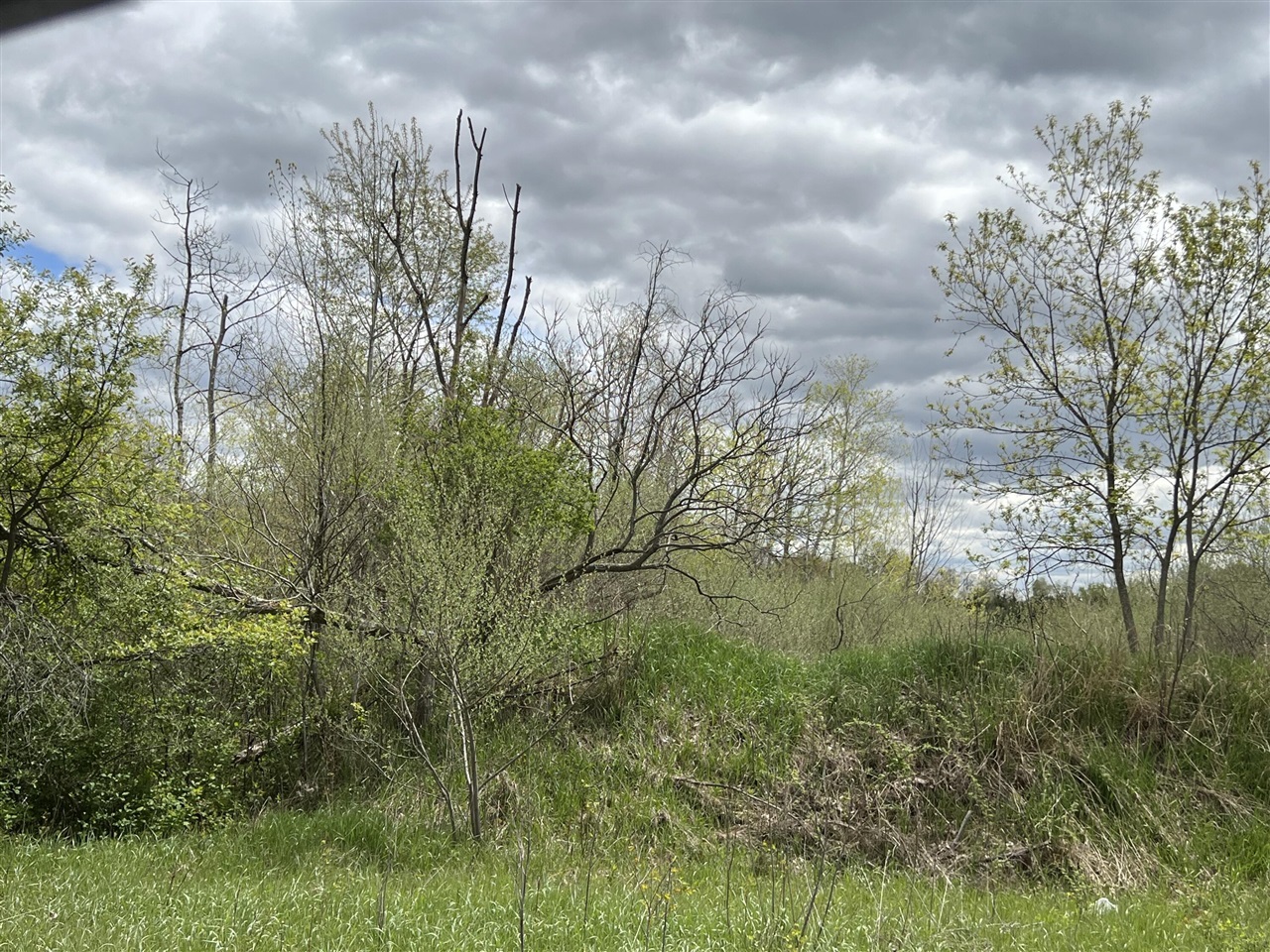 11148 N Satterlee Road Property Photo 2