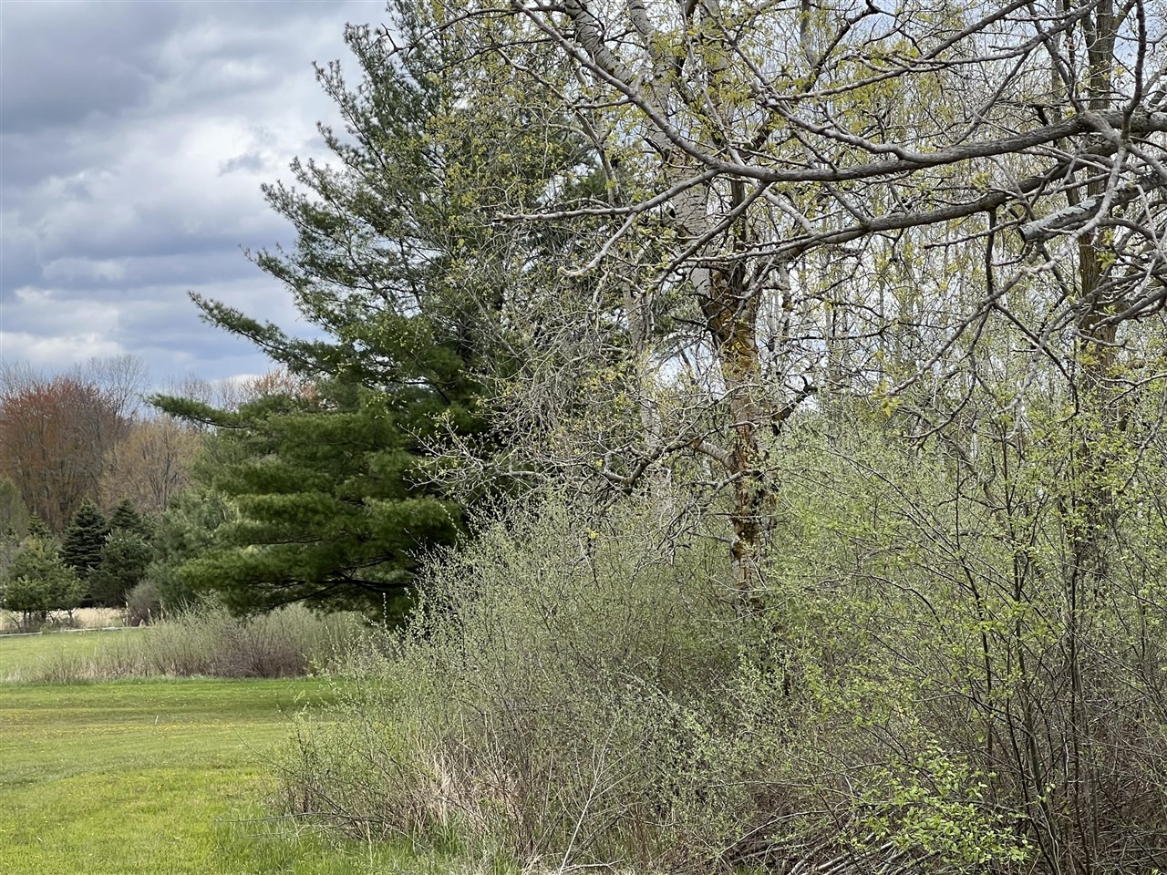 11148 N Satterlee Road Property Photo 3