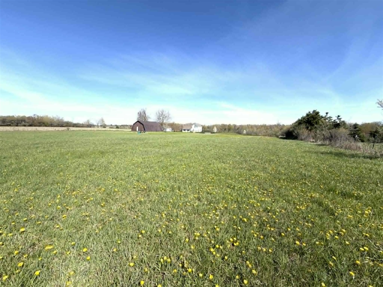 8377 Truman Road Property Photo 20