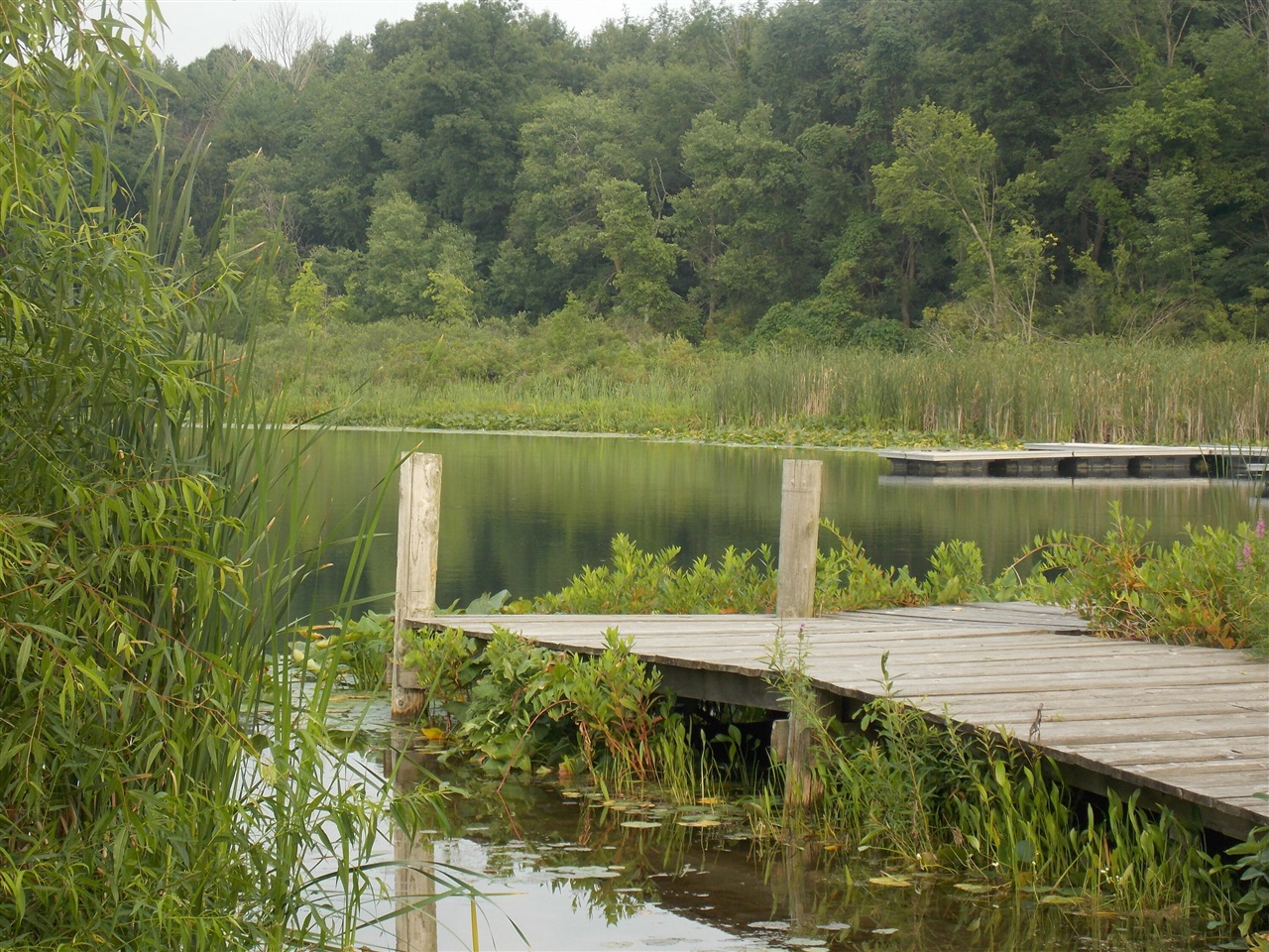 Lot #10 Long Lake Drive Property Photo 2