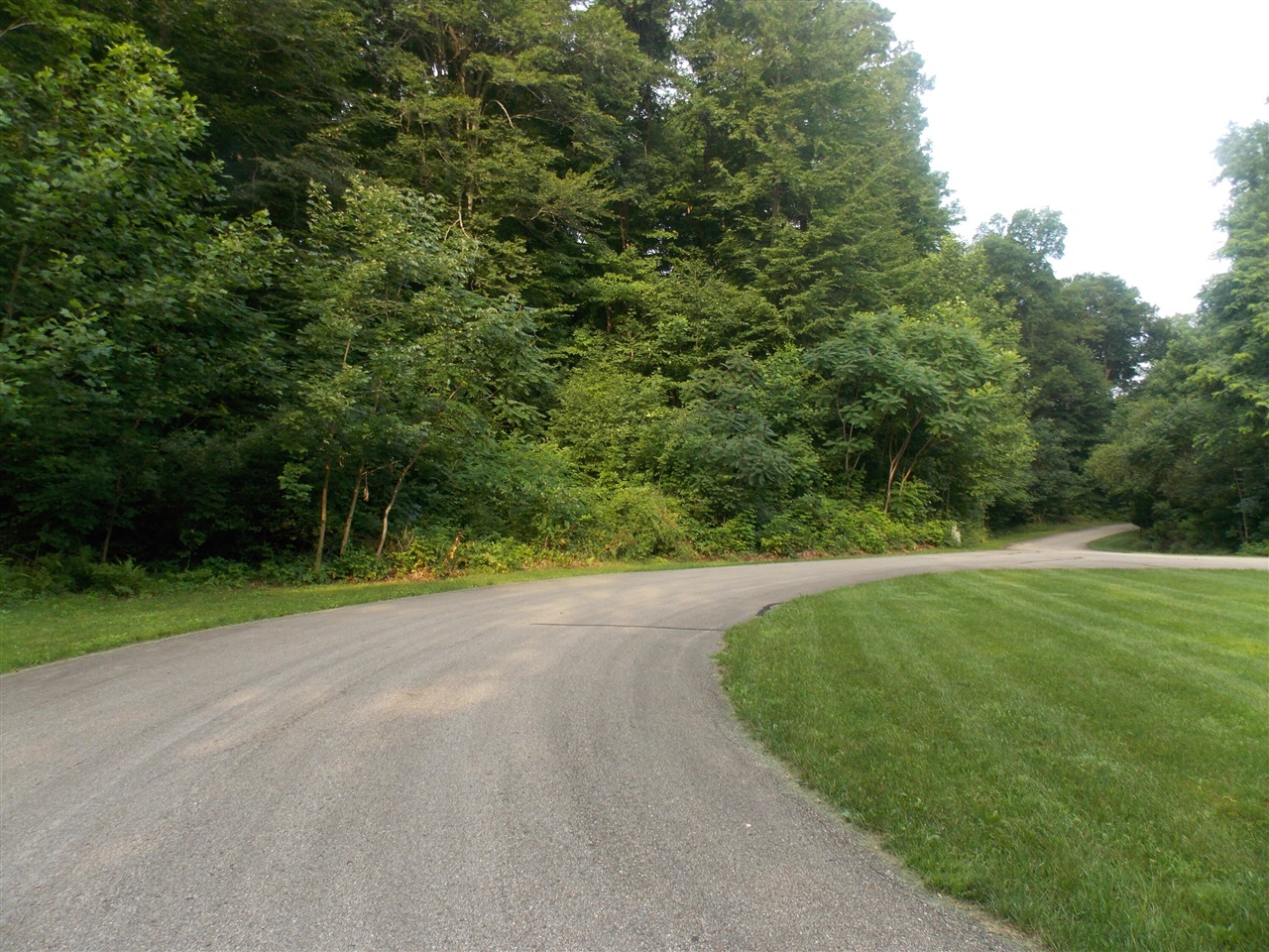 Lot #10 Long Lake Drive Property Photo 6