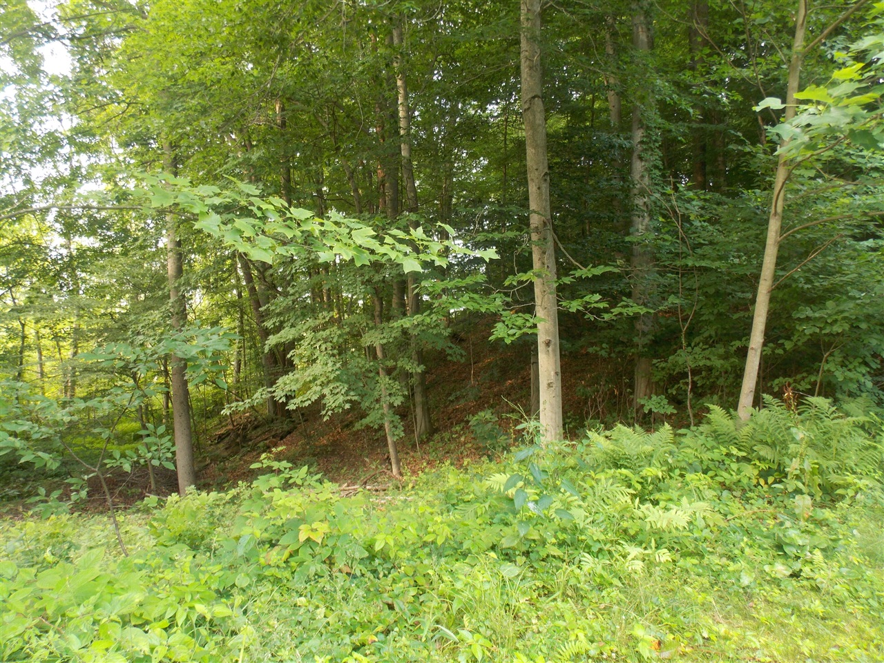 Lot #10 Long Lake Drive Property Photo 9