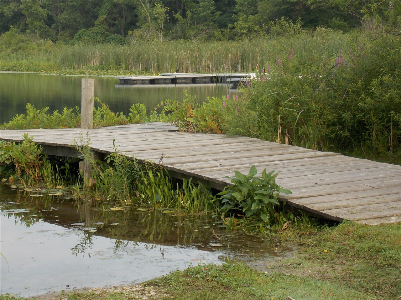 Lot #10 Long Lake Drive Property Photo 12
