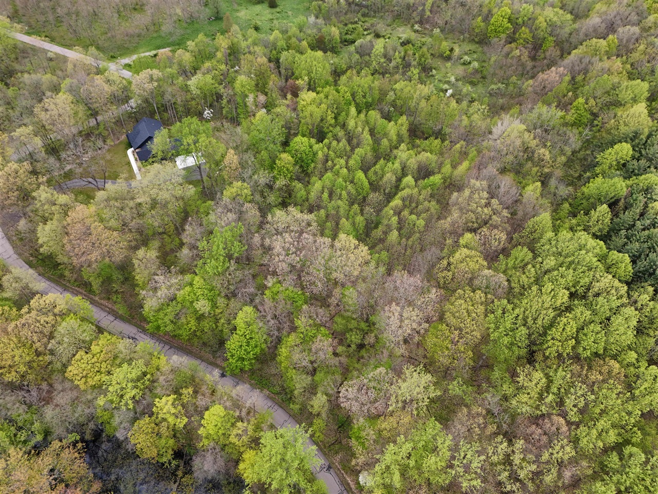 Lot #10 Long Lake Drive Property Photo 21