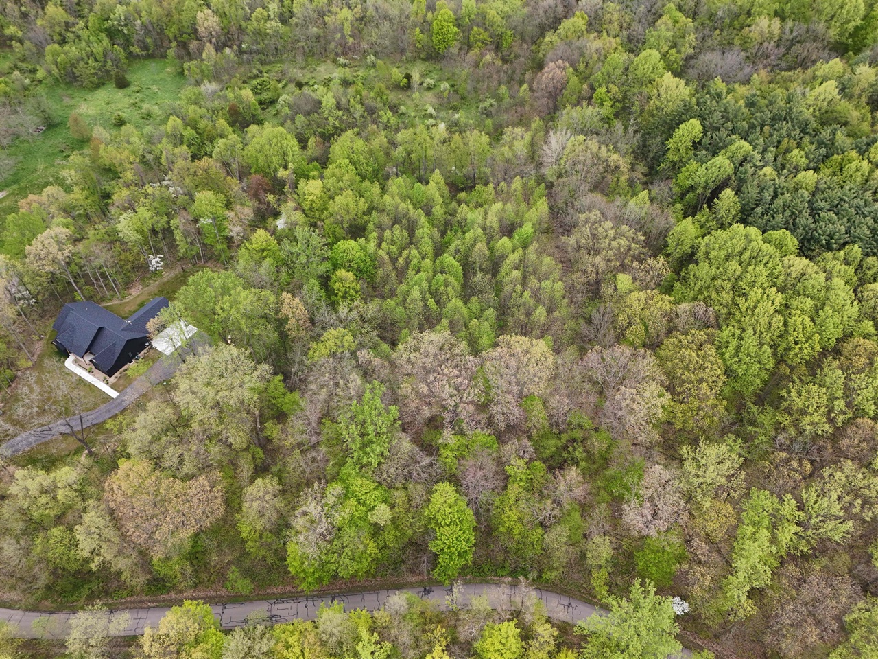 Lot #10 Long Lake Drive Property Photo 22