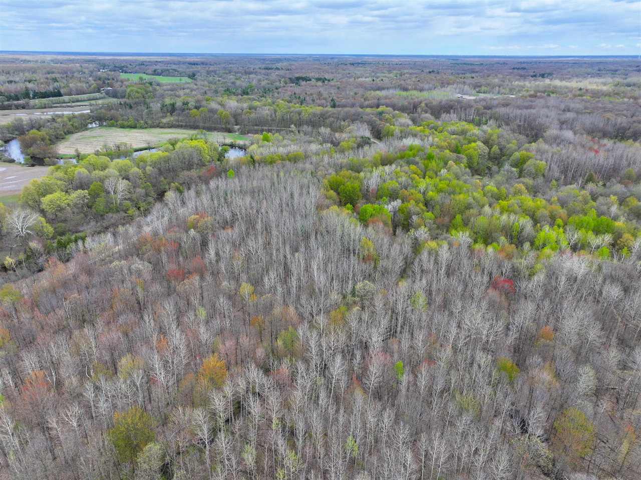 V/l 140a S S Eleven Mile Road Property Photo 18