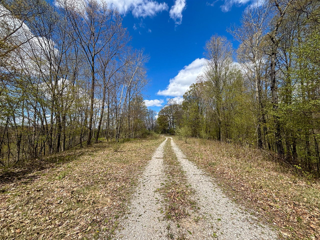 V/l 140a S S Eleven Mile Road Property Photo 40