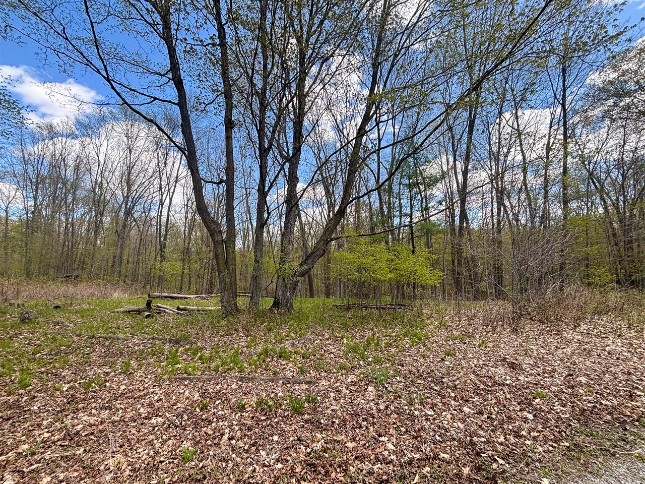 V/l 140a S S Eleven Mile Road Property Photo 41