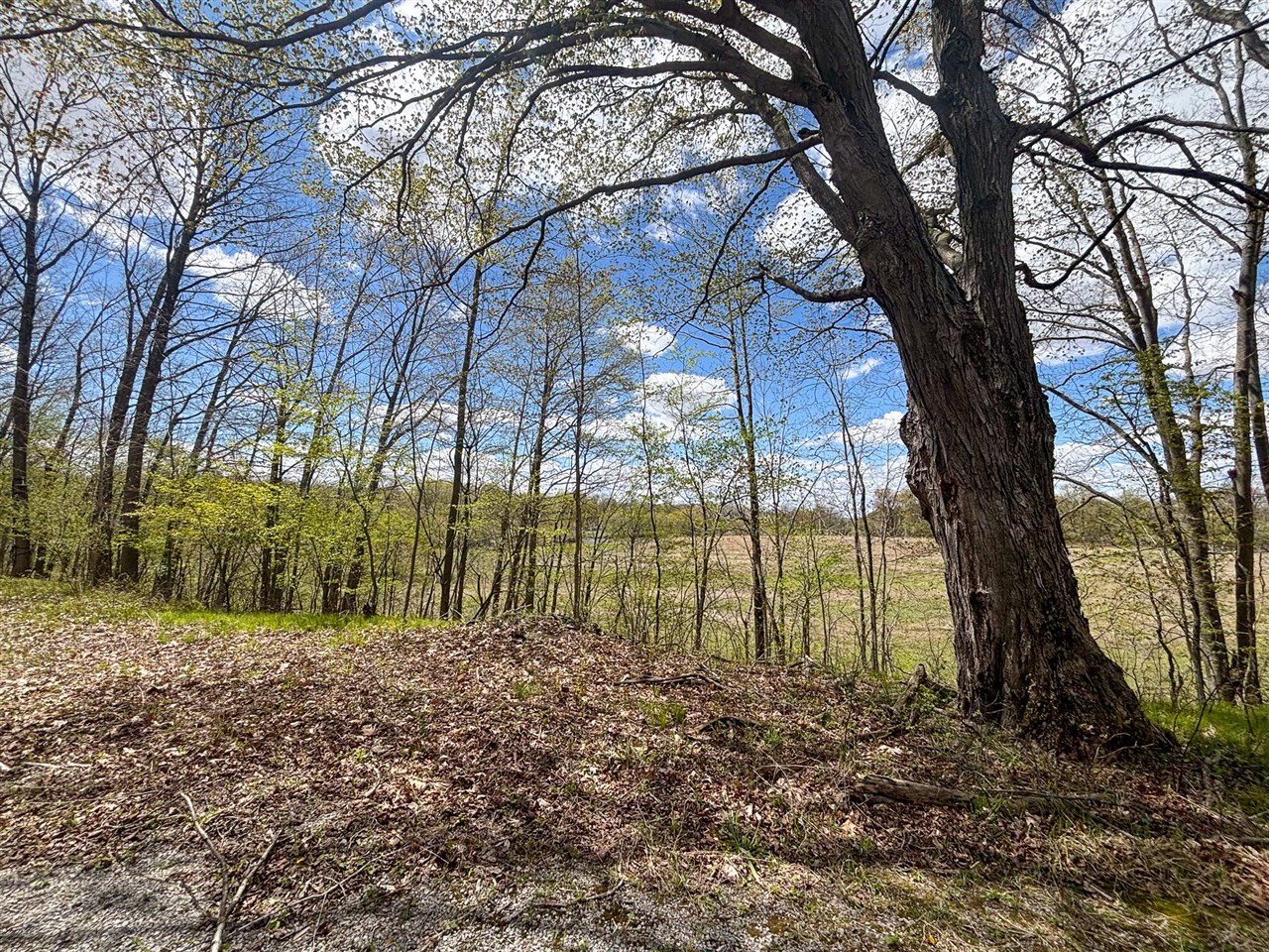 V/l 140a S S Eleven Mile Road Property Photo 50