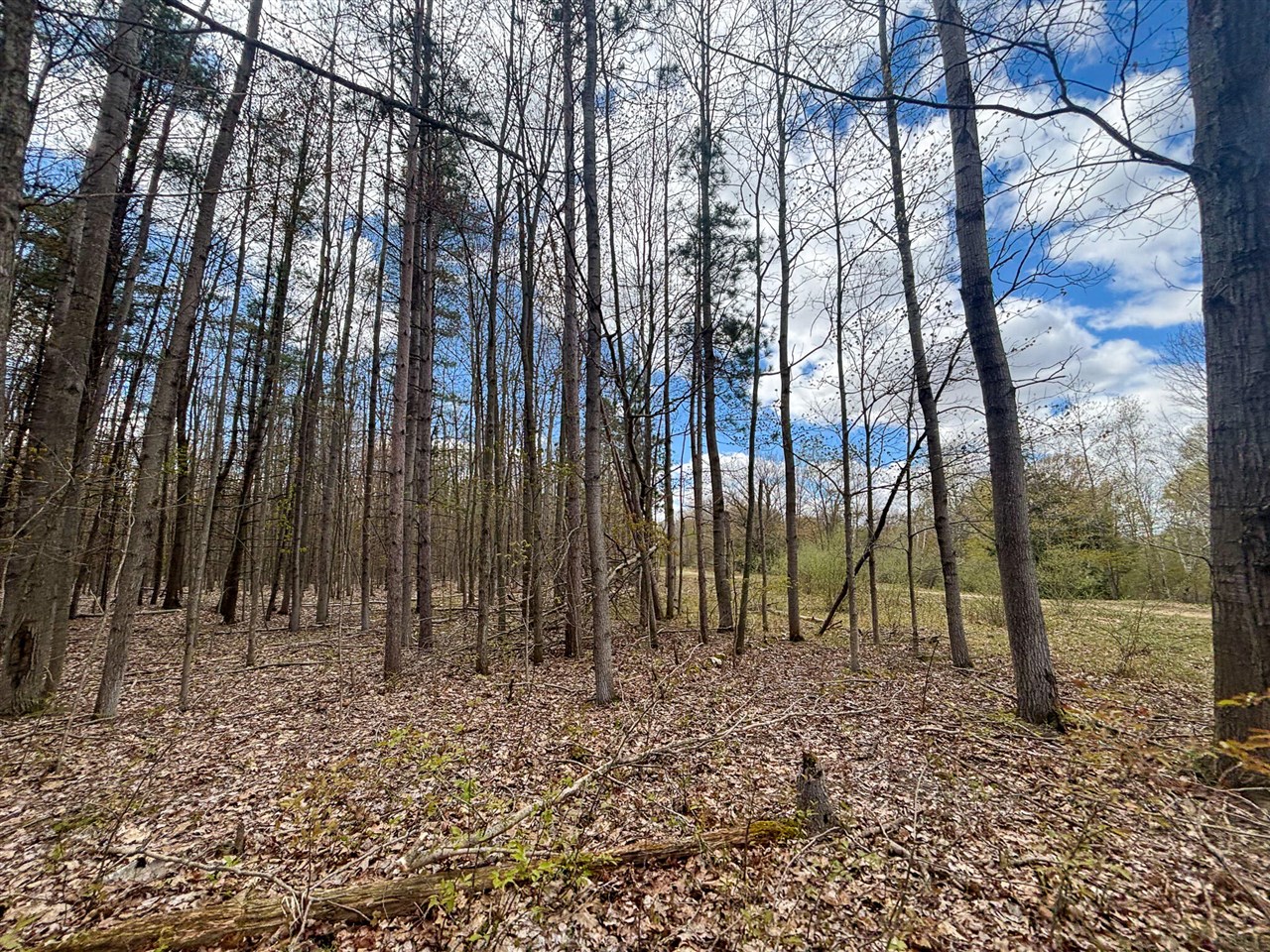 V/l 140a S S Eleven Mile Road Property Photo 58