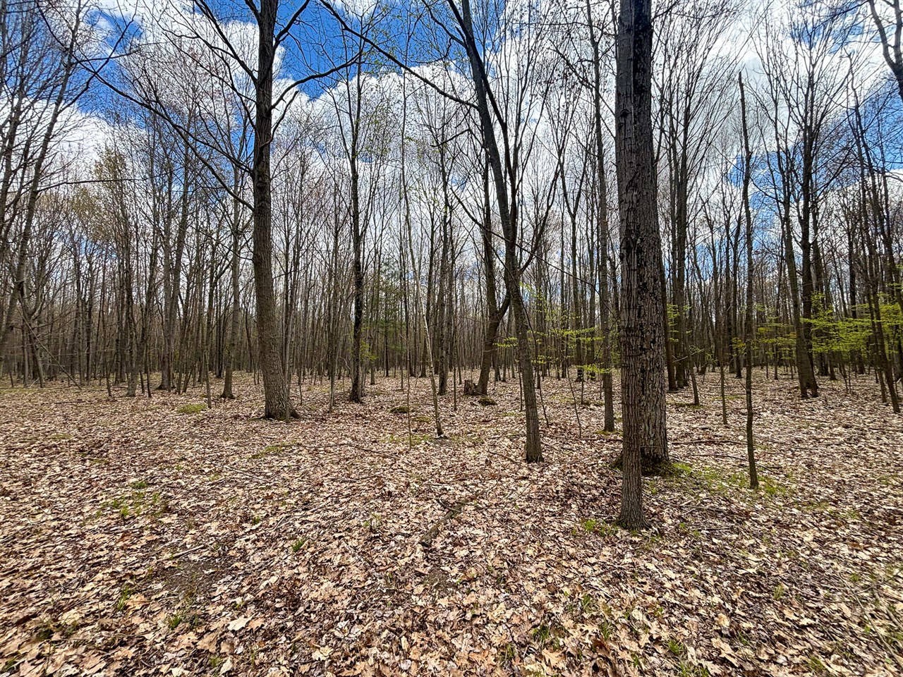 V/l 140a S S Eleven Mile Road Property Photo 62