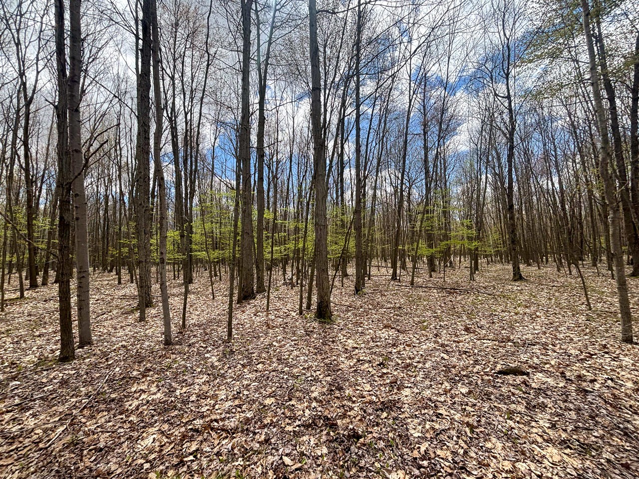 V/l 140a S S Eleven Mile Road Property Photo 64