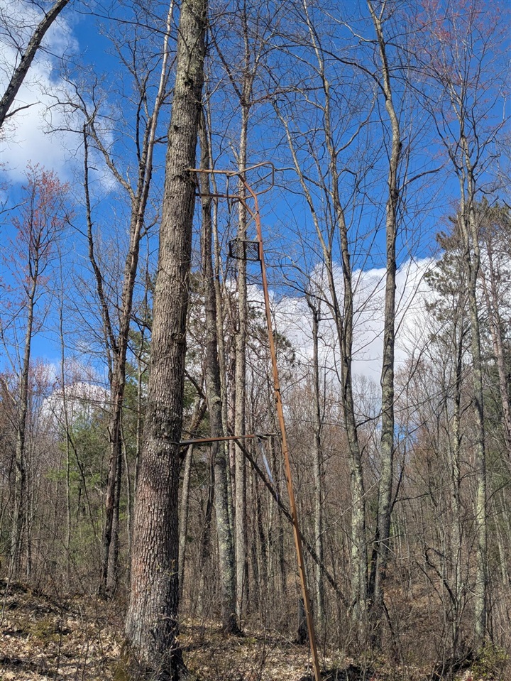 20179 Coates Highway Property Photo 22