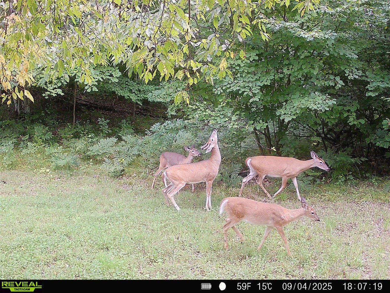 20179 Coates Highway Property Photo 31